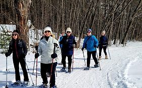 Starlight Lodge North Conway